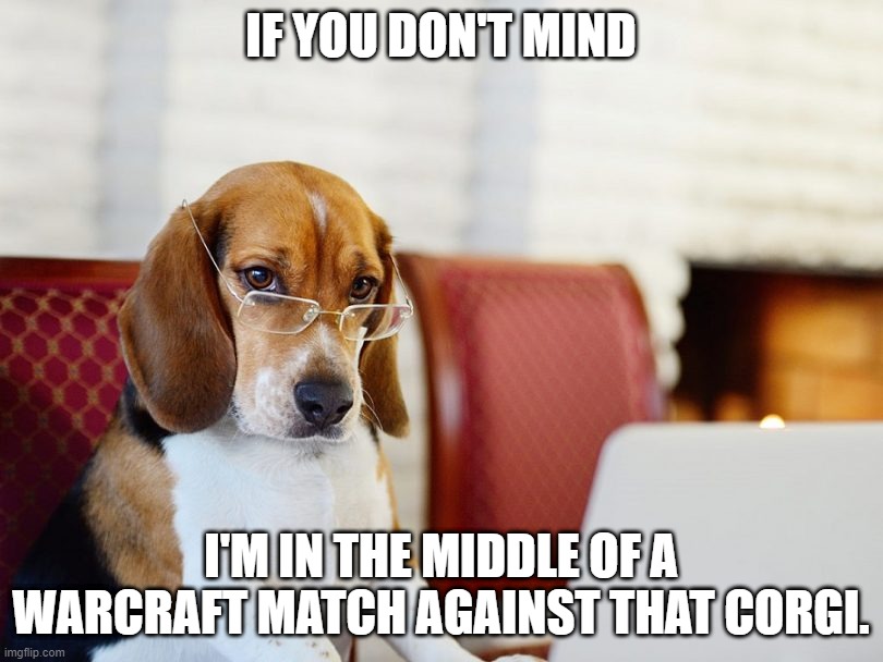 Smart beagle | IF YOU DON'T MIND; I'M IN THE MIDDLE OF A WARCRAFT MATCH AGAINST THAT CORGI. | image tagged in smart beagle | made w/ Imgflip meme maker