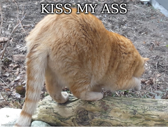 big ass | KISS MY ASS | image tagged in big ass | made w/ Imgflip meme maker