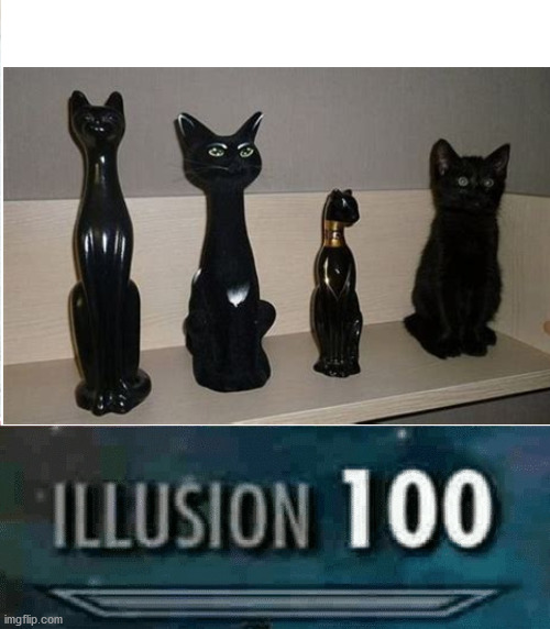 sneaky sneaky | image tagged in illusion 100 | made w/ Imgflip meme maker