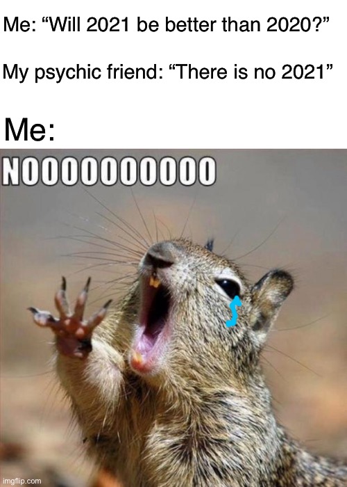2020 is the end of the world! | Me: “Will 2021 be better than 2020?”; My psychic friend: “There is no 2021”; Me: | image tagged in blank white template,noooooooooooooooooooooooo,2020,end of the world,memes,funny | made w/ Imgflip meme maker