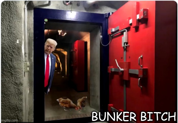 The Bunker Bitch | BUNKER BITCH | image tagged in trump,coward,bunker bitch | made w/ Imgflip meme maker