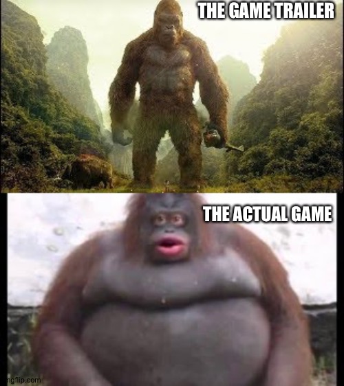 Meme about games | THE GAME TRAILER; THE ACTUAL GAME | image tagged in gaming | made w/ Imgflip meme maker