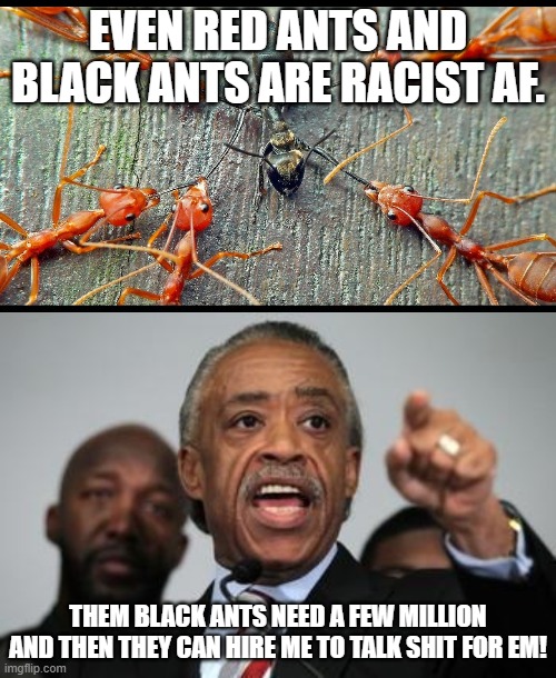 Nature exists. | EVEN RED ANTS AND BLACK ANTS ARE RACIST AF. THEM BLACK ANTS NEED A FEW MILLION AND THEN THEY CAN HIRE ME TO TALK SHIT FOR EM! | image tagged in al sharpton | made w/ Imgflip meme maker