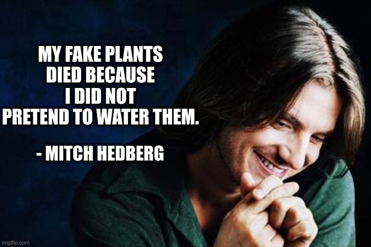 Mitch Hedberg | MY FAKE PLANTS DIED BECAUSE I DID NOT PRETEND TO WATER THEM. - MITCH HEDBERG | image tagged in funny quotes,mitch hedberg,comedians | made w/ Imgflip meme maker