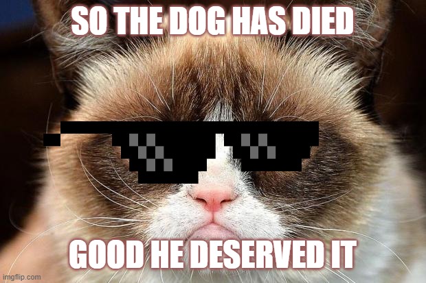 Grumpy Cat Not Amused | SO THE DOG HAS DIED; GOOD HE DESERVED IT | image tagged in memes,grumpy cat not amused,grumpy cat | made w/ Imgflip meme maker