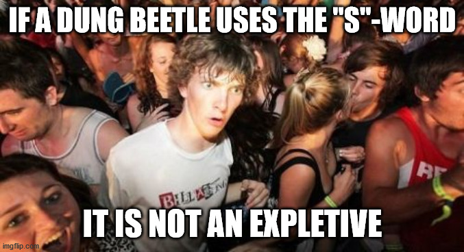 Probably the only being on Earth to not use it as a swear word | IF A DUNG BEETLE USES THE "S"-WORD; IT IS NOT AN EXPLETIVE | image tagged in memes,sudden clarity clarence | made w/ Imgflip meme maker