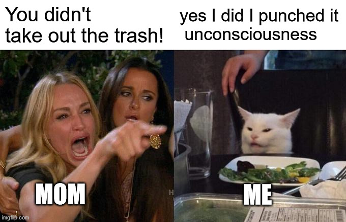 I have done this before | You didn't take out the trash! yes I did I punched it
 unconsciousness; MOM; ME | image tagged in memes,woman yelling at cat | made w/ Imgflip meme maker