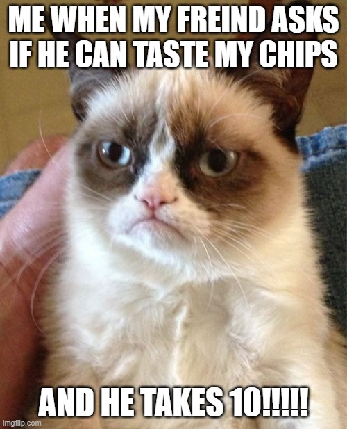 we all know the feeling | ME WHEN MY FREIND ASKS IF HE CAN TASTE MY CHIPS; AND HE TAKES 10!!!!! | image tagged in memes,grumpy cat,chips | made w/ Imgflip meme maker