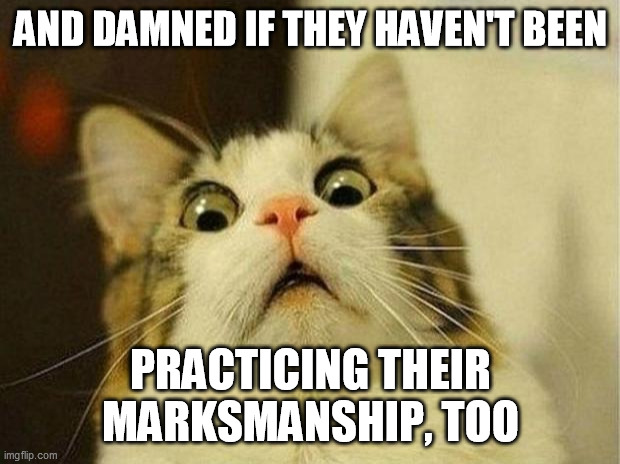 Scared Cat Meme | AND DAMNED IF THEY HAVEN'T BEEN PRACTICING THEIR MARKSMANSHIP, TOO | image tagged in memes,scared cat | made w/ Imgflip meme maker
