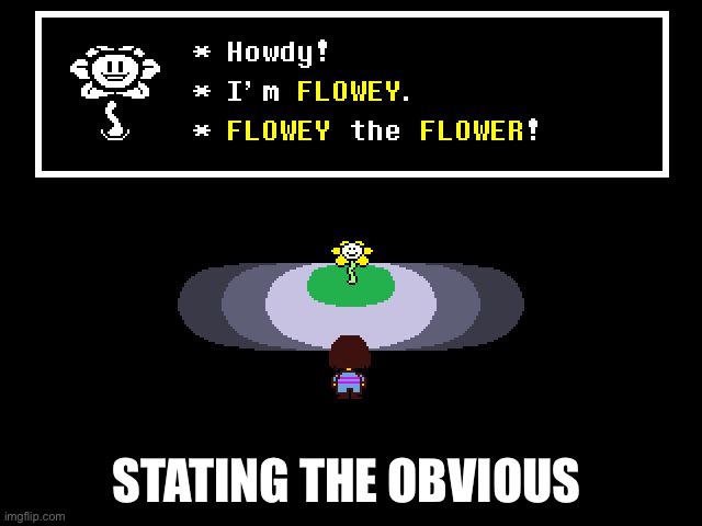 Undertale Flowey | STATING THE OBVIOUS | image tagged in undertale flowey | made w/ Imgflip meme maker