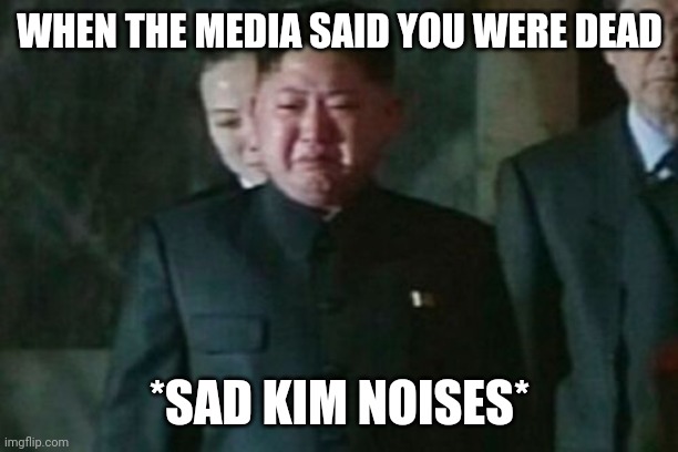 Kim Jong Un Sad | WHEN THE MEDIA SAID YOU WERE DEAD; *SAD KIM NOISES* | image tagged in memes,kim jong un sad | made w/ Imgflip meme maker