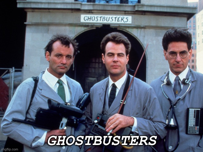 Professional paranormal investigation and elimination | GHOSTBUSTERS | image tagged in professional paranormal investigation and elimination | made w/ Imgflip meme maker