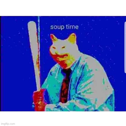 Soup Time Cat | image tagged in soup time cat | made w/ Imgflip meme maker