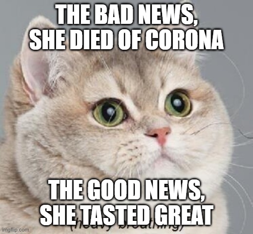 A man's got to do... | THE BAD NEWS, SHE DIED OF CORONA; THE GOOD NEWS, SHE TASTED GREAT | image tagged in memes,heavy breathing cat | made w/ Imgflip meme maker