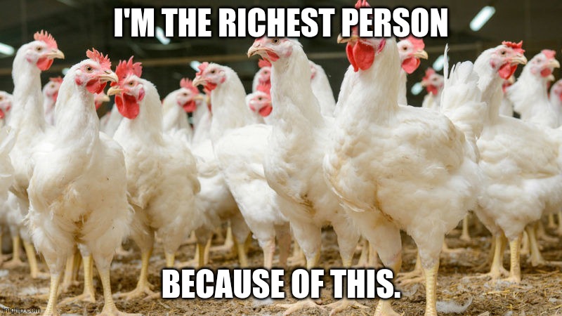 Chicken Army | I'M THE RICHEST PERSON; BECAUSE OF THIS. | image tagged in chicken army | made w/ Imgflip meme maker