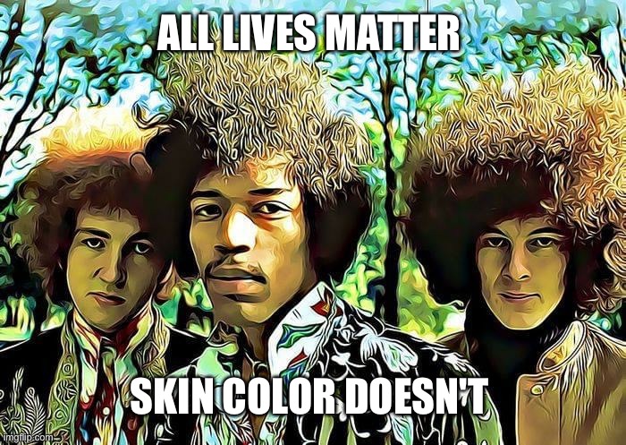 All lives matter | ALL LIVES MATTER; SKIN COLOR DOESN'T | image tagged in racism,peace,protest,riots | made w/ Imgflip meme maker