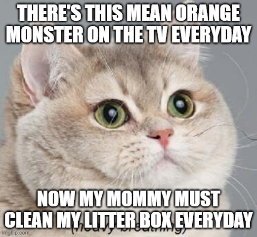 Angry Orange | THERE'S THIS MEAN ORANGE MONSTER ON THE TV EVERYDAY; NOW MY MOMMY MUST CLEAN MY LITTER BOX EVERYDAY | image tagged in memes,heavy breathing cat | made w/ Imgflip meme maker