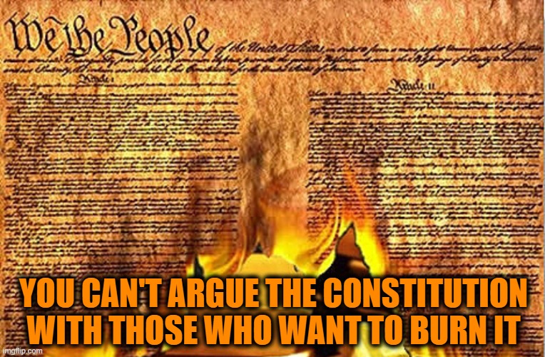 Pearls Before Swine | YOU CAN'T ARGUE THE CONSTITUTION WITH THOSE WHO WANT TO BURN IT | image tagged in trump,constitution,gop,republicans | made w/ Imgflip meme maker