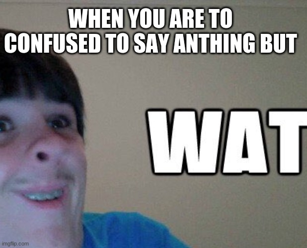 wat | WHEN YOU ARE TO CONFUSED TO SAY ANTHING BUT | image tagged in funny | made w/ Imgflip meme maker