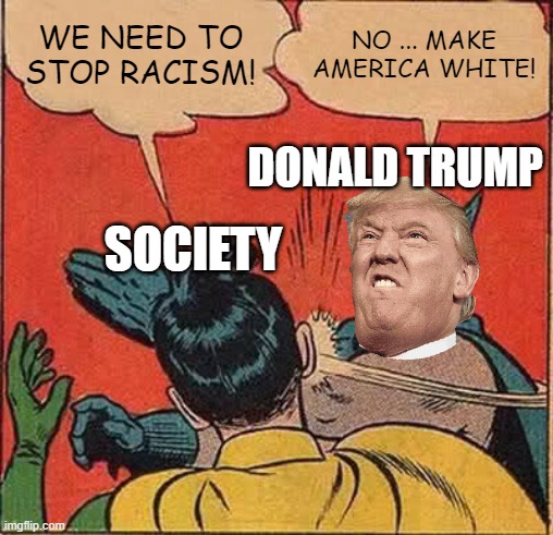 funny 'haha' present meme | WE NEED TO STOP RACISM! NO ... MAKE AMERICA WHITE! DONALD TRUMP; SOCIETY | image tagged in memes,batman slapping robin | made w/ Imgflip meme maker