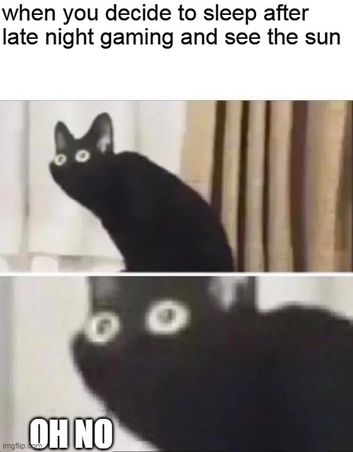 always happen | when you decide to sleep after late night gaming and see the sun; OH NO | image tagged in oh no black cat | made w/ Imgflip meme maker