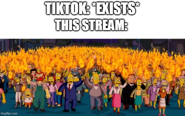 Simpsons angry mob torches | TIKTOK: *EXISTS*; THIS STREAM: | image tagged in simpsons angry mob torches | made w/ Imgflip meme maker