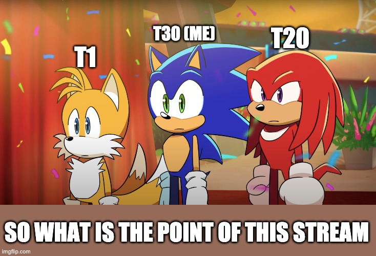Seriously, what do we do? | T30 (ME); T20; T1; SO WHAT IS THE POINT OF THIS STREAM | image tagged in team sonic what | made w/ Imgflip meme maker