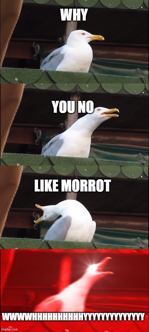 Inhaling Seagull | WHY; YOU NO; LIKE MORROT; WWWWHHHHHHHHHHYYYYYYYYYYYYYY | image tagged in memes,inhaling seagull | made w/ Imgflip meme maker