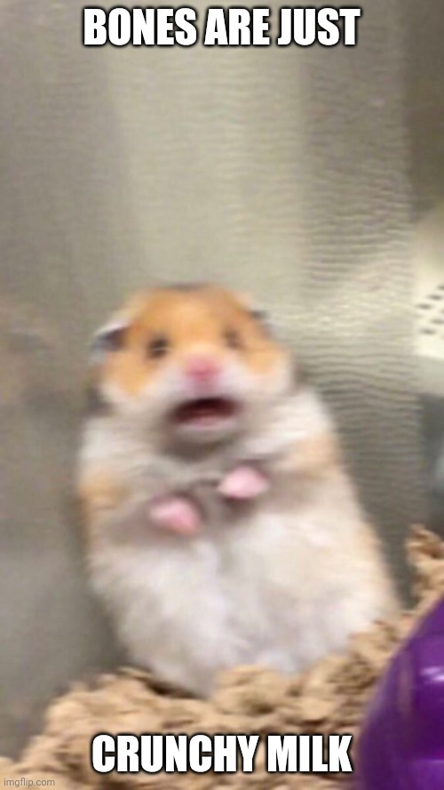 Surprised hamster | BONES ARE JUST; CRUNCHY MILK | image tagged in surprised hamster | made w/ Imgflip meme maker