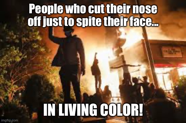 Cutting Nose Off | People who cut their nose off just to spite their face... IN LIVING COLOR! | image tagged in riots,burning,george floyd,rioters,justice | made w/ Imgflip meme maker