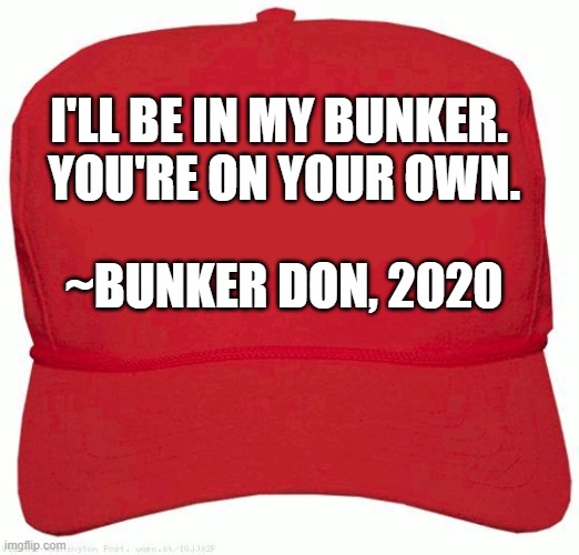 Bunker Trumper | I'LL BE IN MY BUNKER. 
YOU'RE ON YOUR OWN. ~BUNKER DON, 2020 | image tagged in red hat | made w/ Imgflip meme maker