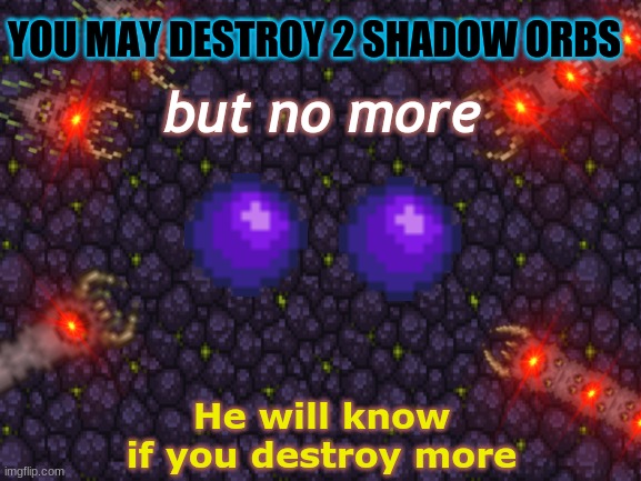 You may destroy 2 shadow orbs but no more. | YOU MAY DESTROY 2 SHADOW ORBS; but no more; He will know if you destroy more | image tagged in terraria,terraria journey's end,eater of worlds,you may consume 3 beans but no more,you may consume three beans but no more they | made w/ Imgflip meme maker