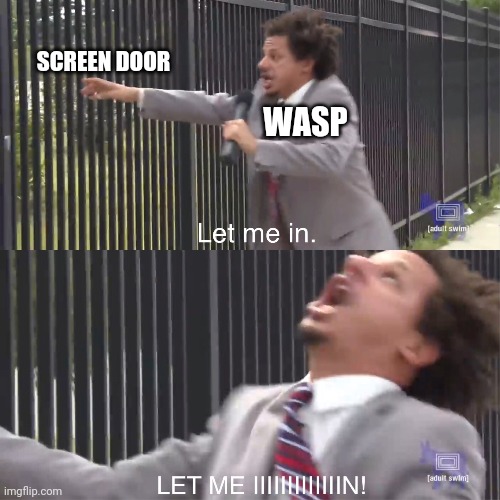 let me in | SCREEN DOOR; WASP | image tagged in let me in | made w/ Imgflip meme maker