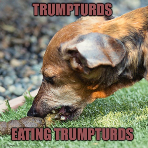 TRUMPTURDS EATING TRUMPTURDS | made w/ Imgflip meme maker