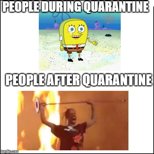 People are idiots. | PEOPLE DURING QUARANTINE; PEOPLE AFTER QUARANTINE | image tagged in lol funny yes,funny memes,custom template,thomas had never seen such bullshit before | made w/ Imgflip meme maker