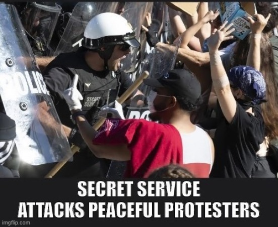 Congress Needs To Defund The Secret Service | image tagged in secret service,congress,defund,protesters | made w/ Imgflip meme maker