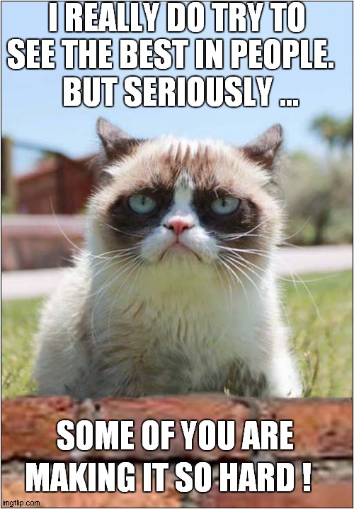 Grumpys Judgement On The Human Race | I REALLY DO TRY TO SEE THE BEST IN PEOPLE. BUT SERIOUSLY ... MAKING IT SO HARD	! SOME OF YOU ARE | image tagged in fun,grumpy cat,judgement | made w/ Imgflip meme maker