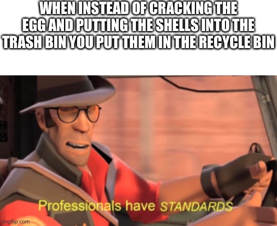 no, I didn't make any mistakes. | WHEN INSTEAD OF CRACKING THE EGG AND PUTTING THE SHELLS INTO THE TRASH BIN YOU PUT THEM IN THE RECYCLE BIN | image tagged in professionals have standards | made w/ Imgflip meme maker