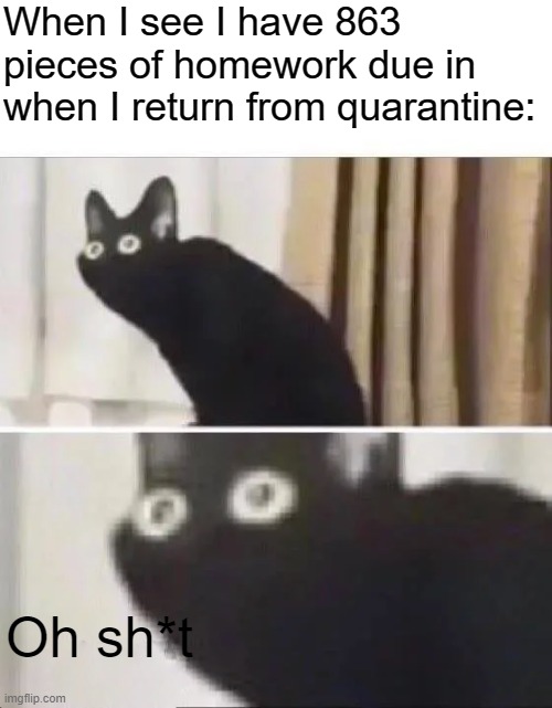 Oh no | When I see I have 863 pieces of homework due in when I return from quarantine:; Oh sh*t | image tagged in oh no black cat,oh no | made w/ Imgflip meme maker