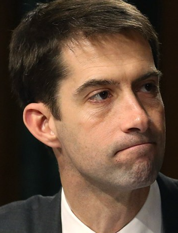 Tom Cotton, clueless dickhead Blank Meme Template