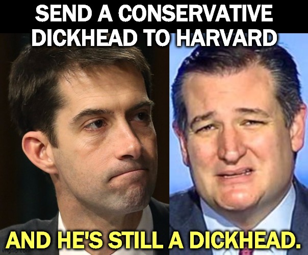 College doesn't always turn out smart people (liberals). | SEND A CONSERVATIVE DICKHEAD TO HARVARD; AND HE'S STILL A DICKHEAD. | image tagged in tom cotton clueless dickhead,ted cruz,fool,idiot,asshole,college conservative | made w/ Imgflip meme maker