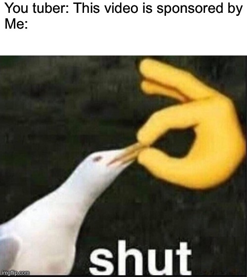 SHUT SEAGULL | You tuber: This video is sponsored by
Me: | image tagged in shut,seagull | made w/ Imgflip meme maker