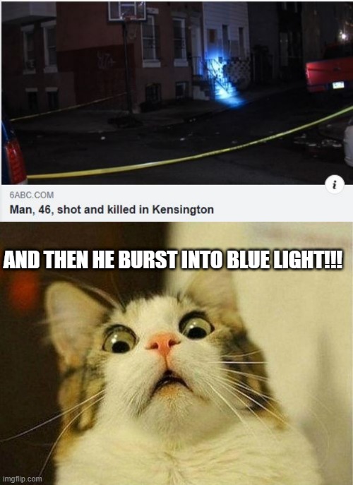 WHOA!!! | AND THEN HE BURST INTO BLUE LIGHT!!! | image tagged in memes,scared cat | made w/ Imgflip meme maker