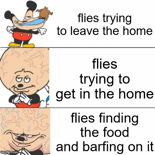 Expanding Brain Mokey | flies trying to leave the home; flies trying to get in the home; flies finding the food and barfing on it | image tagged in expanding brain mokey | made w/ Imgflip meme maker