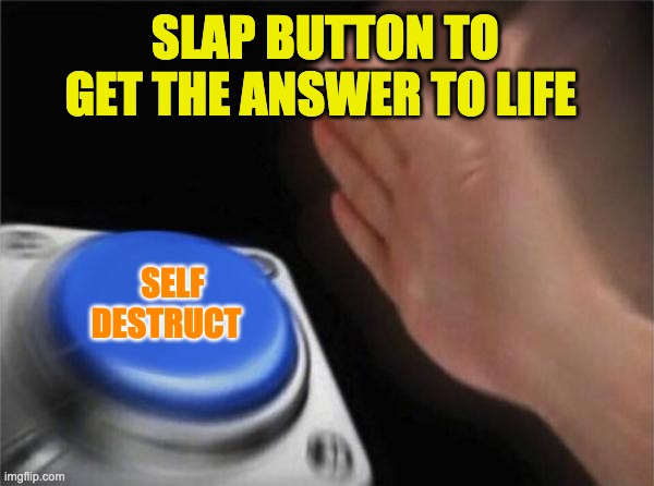 button | SLAP BUTTON TO GET THE ANSWER TO LIFE; SELF DESTRUCT | image tagged in memes,blank nut button | made w/ Imgflip meme maker