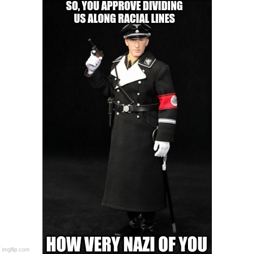 SO, YOU APPROVE DIVIDING US ALONG RACIAL LINES HOW VERY NAZI OF YOU | made w/ Imgflip meme maker