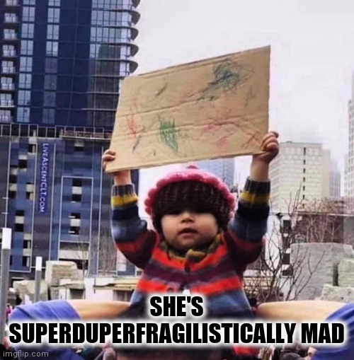 SHE'S SUPERDUPERFRAGILISTICALLY MAD | image tagged in protester,children,mad baby | made w/ Imgflip meme maker