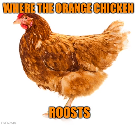 WHERE THE ORANGE CHICKEN ROOSTS | made w/ Imgflip meme maker