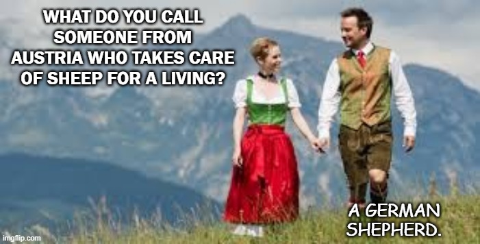 Daily Bad Dad Joke June 5 2020 | WHAT DO YOU CALL SOMEONE FROM AUSTRIA WHO TAKES CARE OF SHEEP FOR A LIVING? A GERMAN SHEPHERD. | image tagged in austrian crazy | made w/ Imgflip meme maker