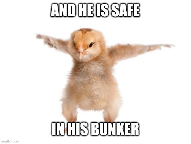 strongest chicken | AND HE IS SAFE; IN HIS BUNKER | image tagged in strongest chicken | made w/ Imgflip meme maker